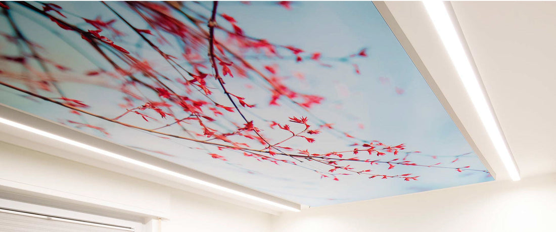Akustikbild an Decke