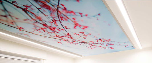 Akustikbild an Decke